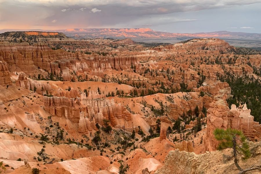 What Does Travel Insurance Cover?