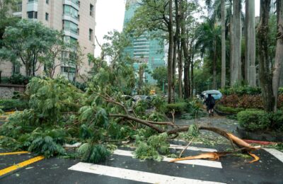 Typhoon Saudel Impact: Worst Effects and Proven Safety Tips