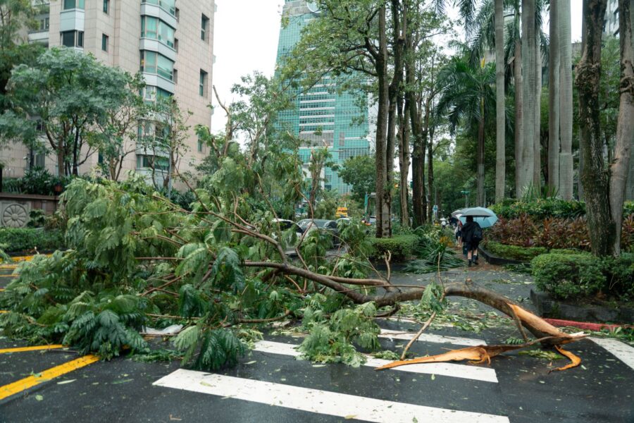 Typhoon Saudel Impact: Worst Effects and Proven Safety Tips