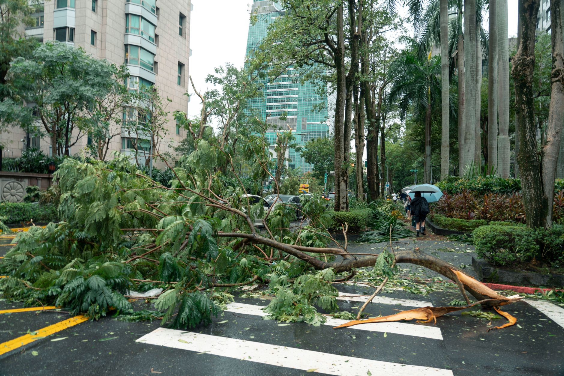 Typhoon Saudel impact
